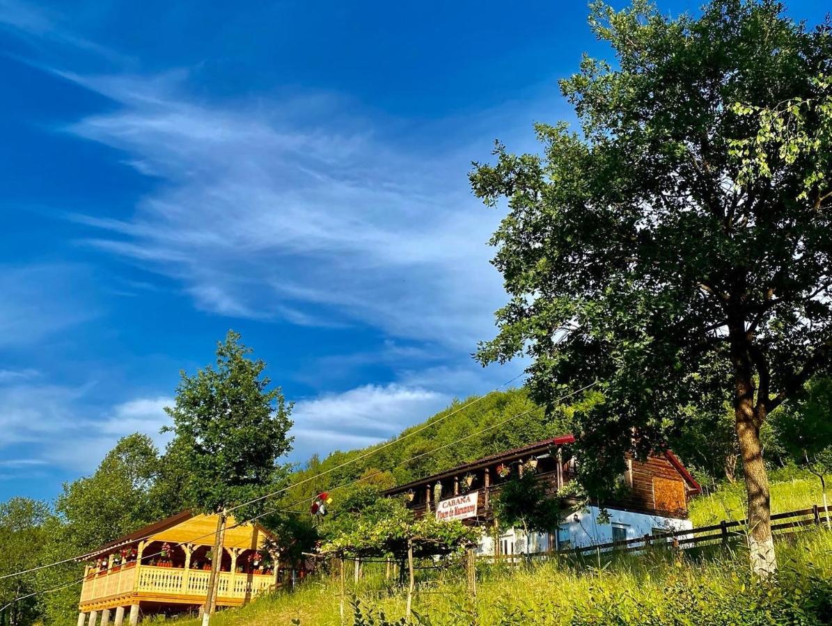 Floare De Maramures 2 Сигету-Мармацией Экстерьер фото