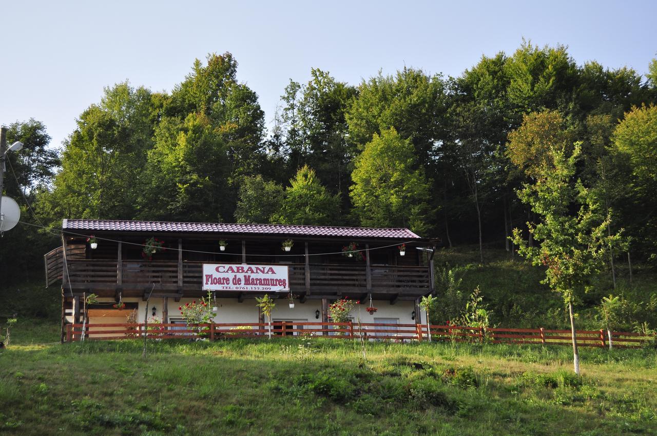 Floare De Maramures 2 Сигету-Мармацией Экстерьер фото