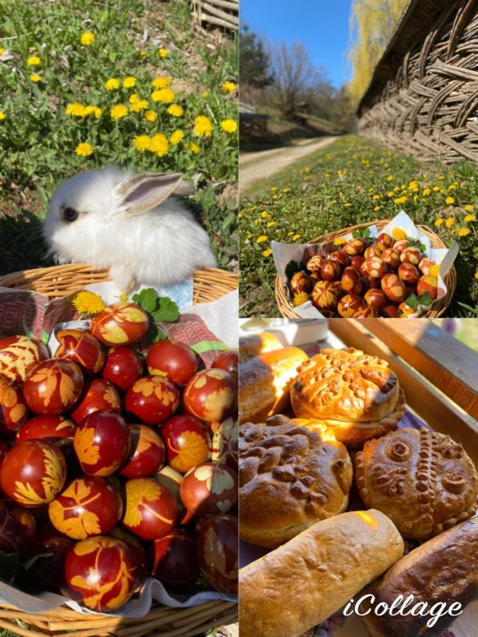 Floare De Maramures 2 Сигету-Мармацией Экстерьер фото